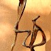 solidarité bronze piece unique de floredevalicourt